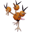 Dodrio